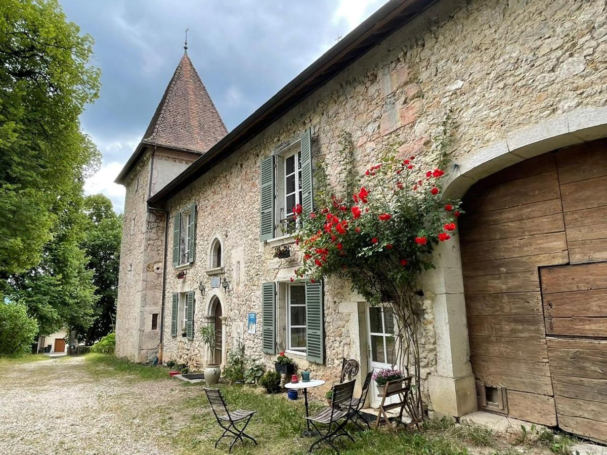 Domaine Du Tres-Haut - Chateau De Montanges Eksteriør bilde