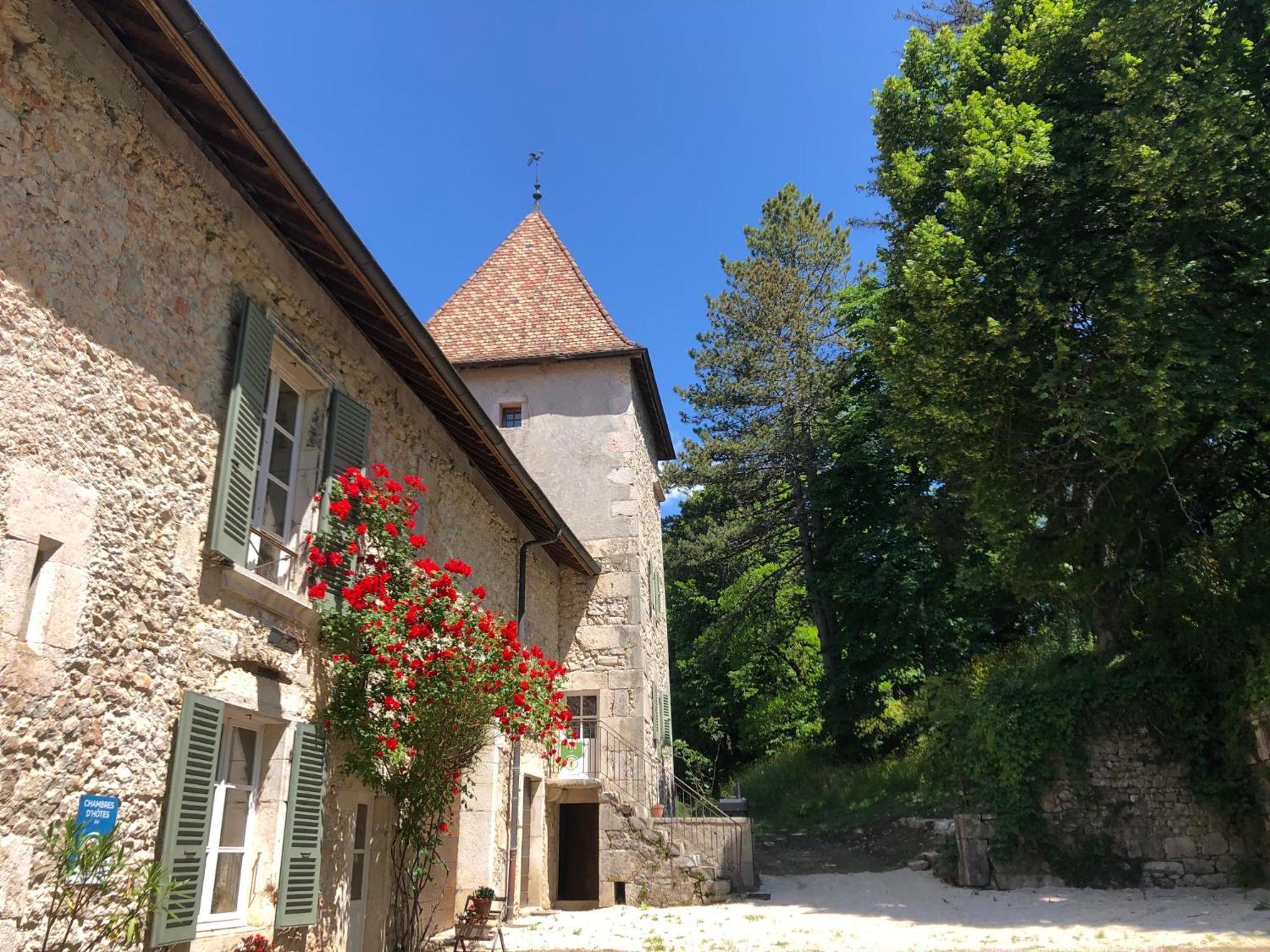 Domaine Du Tres-Haut - Chateau De Montanges Eksteriør bilde